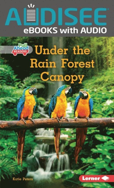 Katie Peters - Under the Rain Forest Canopy, E-bok
