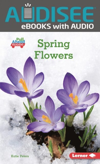 Katie Peters - Spring Flowers, E-bok