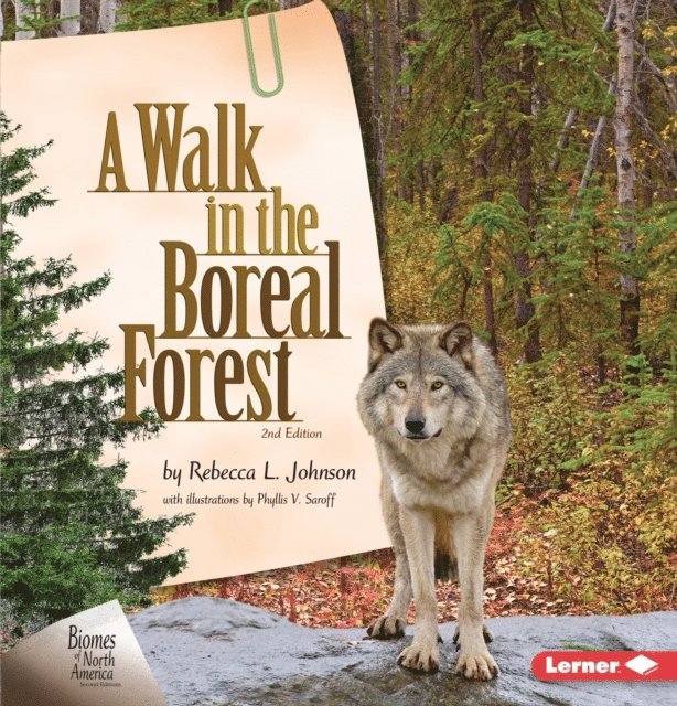Rebecca L. Johnson - Walk in the Boreal Forest, 2nd Edition, E-bok