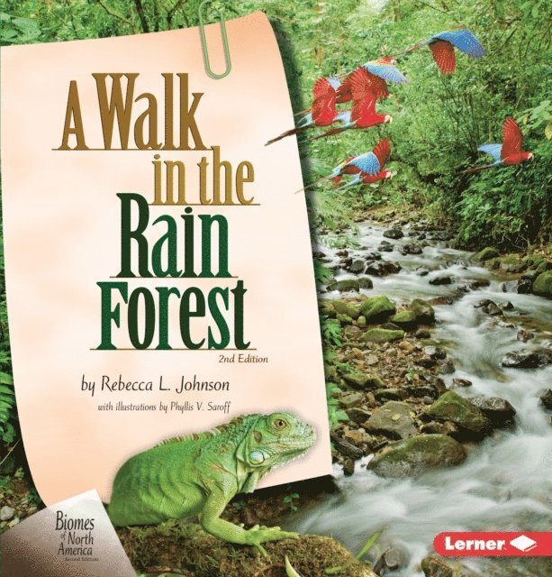 Rebecca L. Johnson - Walk in the Rain Forest, 2nd Edition, E-bok