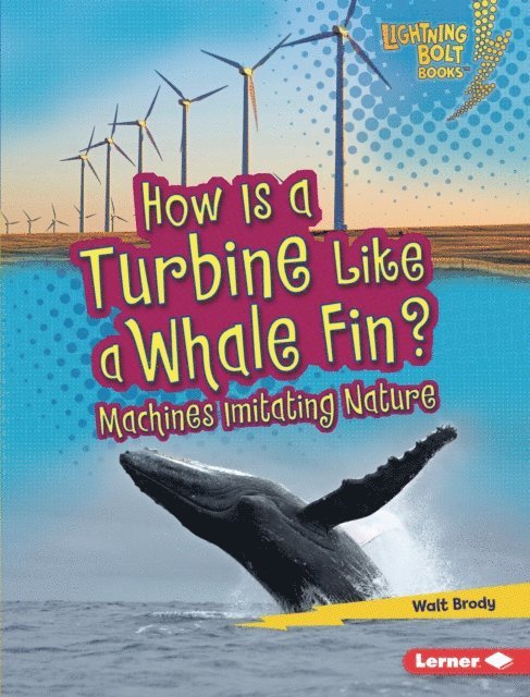 Walt Brody - How Is a Turbine Like a Whale Fin?, E-bok