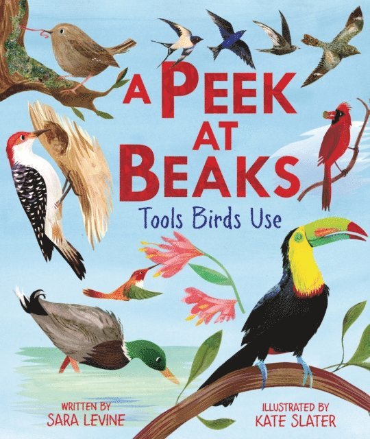Sara Levine - Peek at Beaks, E-bok