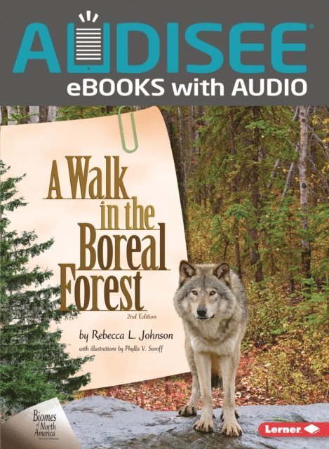 Rebecca L. Johnson - Walk in the Boreal Forest, 2nd Edition, E-bok