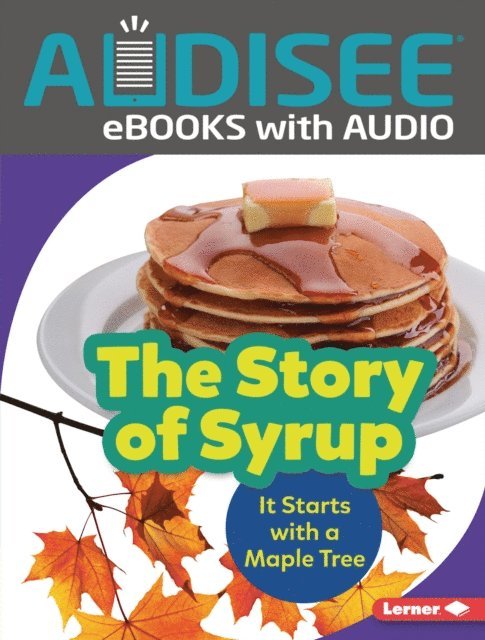 Melanie Mitchell - Story of Syrup, E-bok