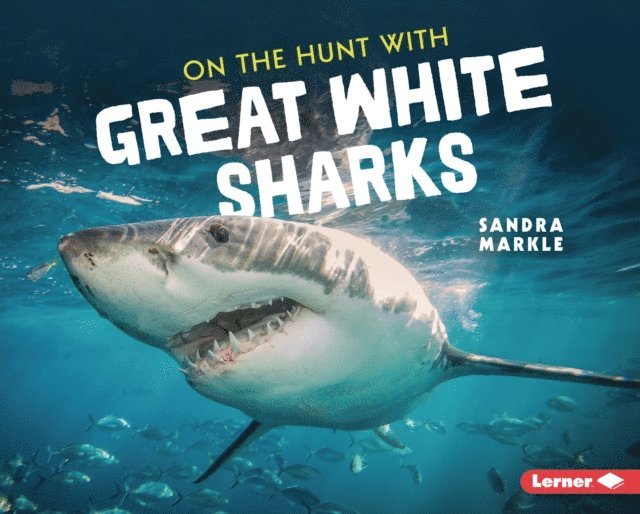Sandra Markle - On the Hunt with Great White Sharks, E-bok