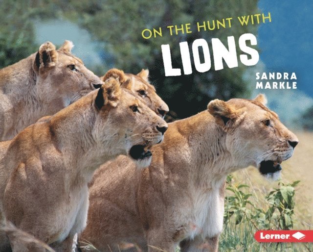 Sandra Markle - On the Hunt with Lions, E-bok