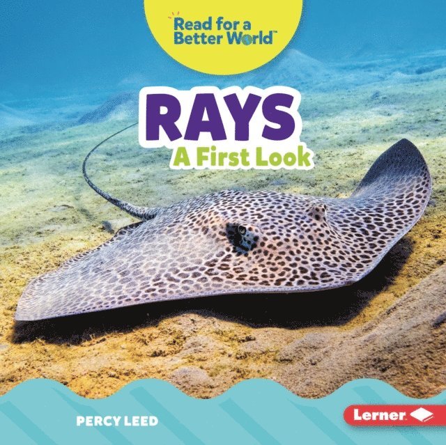 Percy Leed - Rays, E-bok