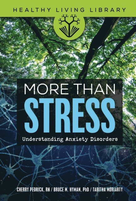 More Than Stress