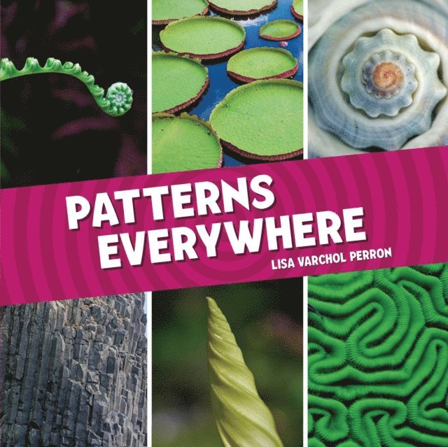 Lisa Varchol Perron - Patterns Everywhere, E-bok