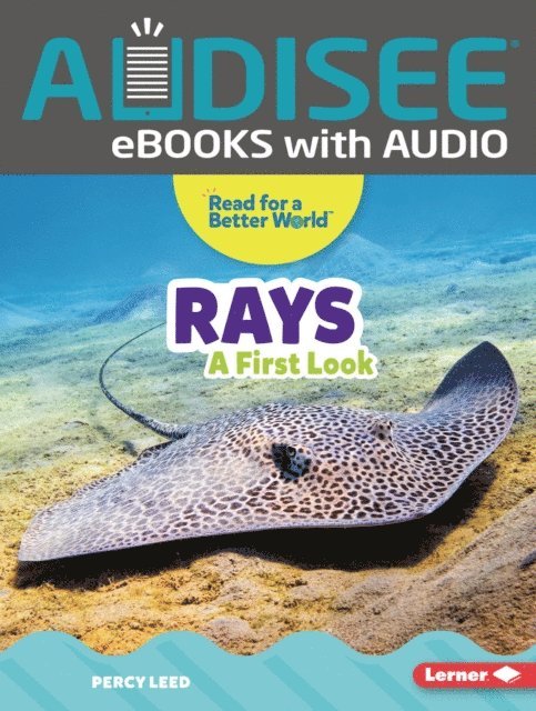 Percy Leed - Rays, E-bok