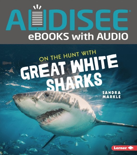 Sandra Markle - On the Hunt with Great White Sharks, E-bok