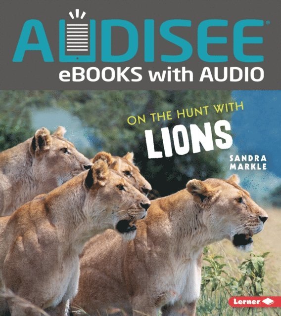 Sandra Markle - On the Hunt with Lions, E-bok