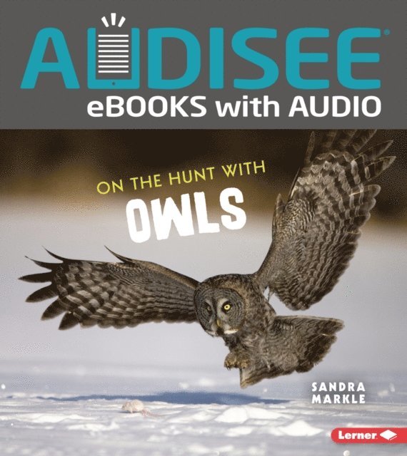 Sandra Markle - On the Hunt with Owls, E-bok