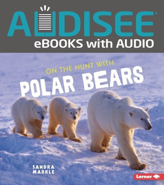 Sandra Markle - On the Hunt with Polar Bears, E-bok