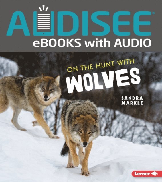 Sandra Markle - On the Hunt with Wolves, E-bok