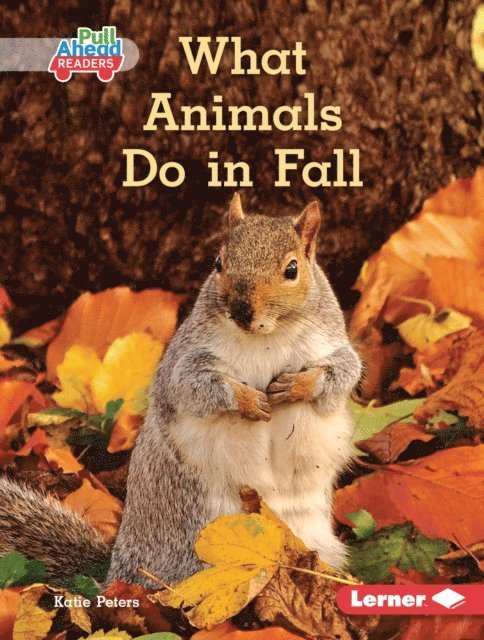 Katie Peters - What Animals Do in Fall, E-bok