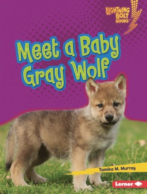 Tamika M. Murray - Meet a Baby Gray Wolf, E-bok