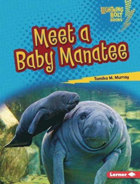 Tamika M. Murray - Meet a Baby Manatee, E-bok