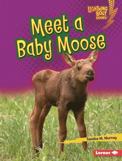 Tamika M. Murray - Meet a Baby Moose, E-bok