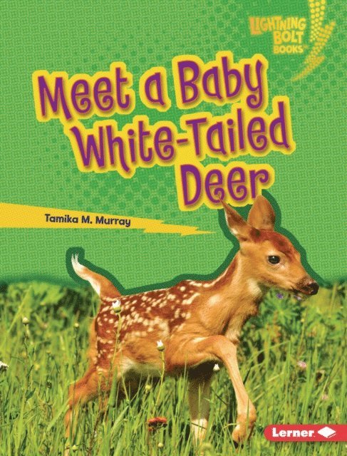 Tamika M. Murray - Meet a Baby White-Tailed Deer, E-bok