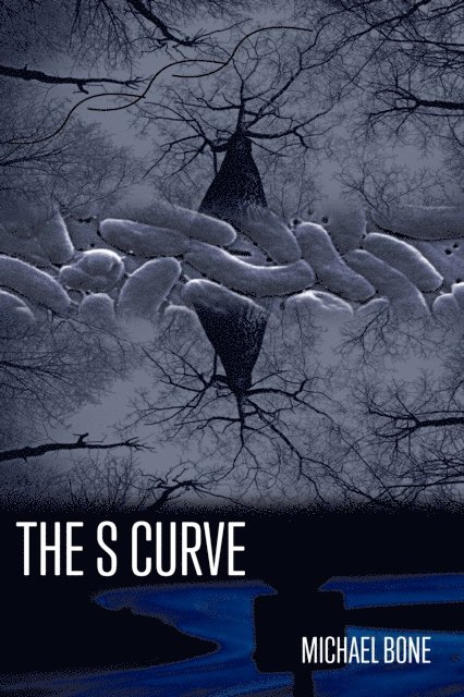 Michael Bone - S Curve, E-bok
