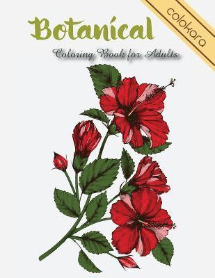Colokara - Botanical Coloring Book for Adults, Häftad. Tillgänglighet: Tillfälligt slut
