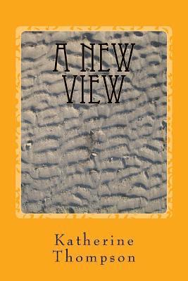 A New View: Dissociative Identity Disorder in Picture
