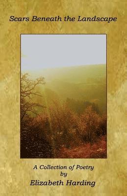 Elizabeth Harding - Scars Beneath the Landscape, Häftad