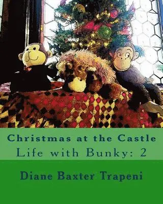 Sr. Stone, Kenneth - Christmas at the Castle: Life with Bunky: 2, Häftad. Tillgänglighet: Lägg i varukorg
