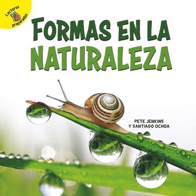Santiago Ochoa - Ochoa, S: Formas en la naturaleza, Häftad