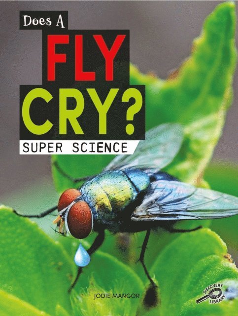 Jodie Mangor - Does a Fly Cry?, E-bok