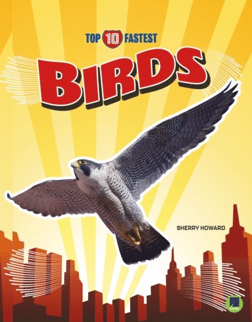 Sherry Howard - Birds, E-bok
