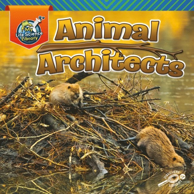 Lisa Amstutz - Animal Architects, E-bok