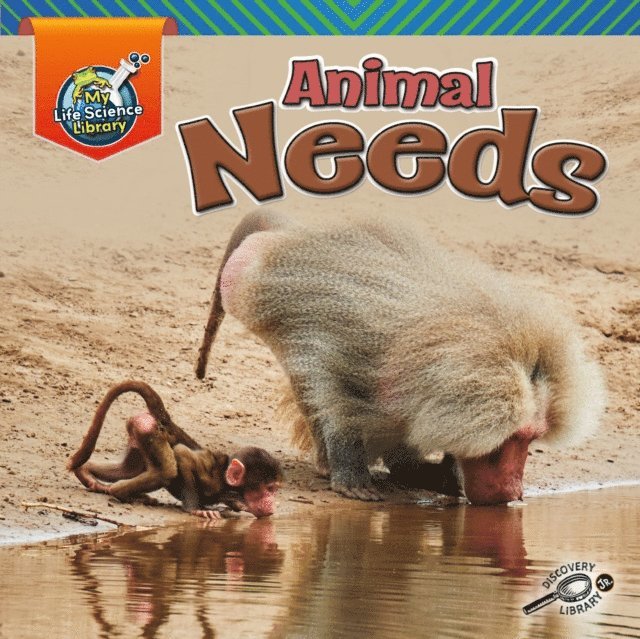 Lisa Amstutz - Animal Needs, E-bok