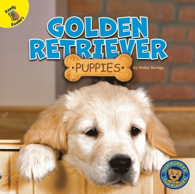Hailey Scragg - Golden Retriever Puppies, E-bok