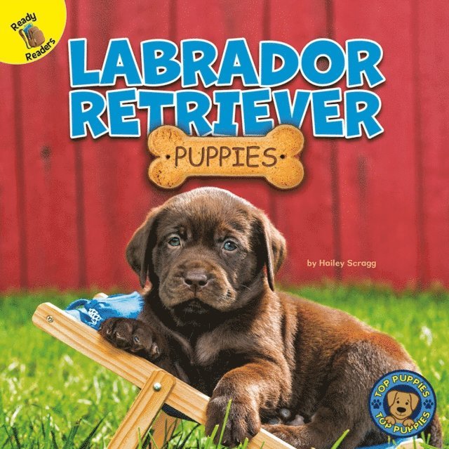 Hailey Scragg - Labrador Retriever Puppies, E-bok