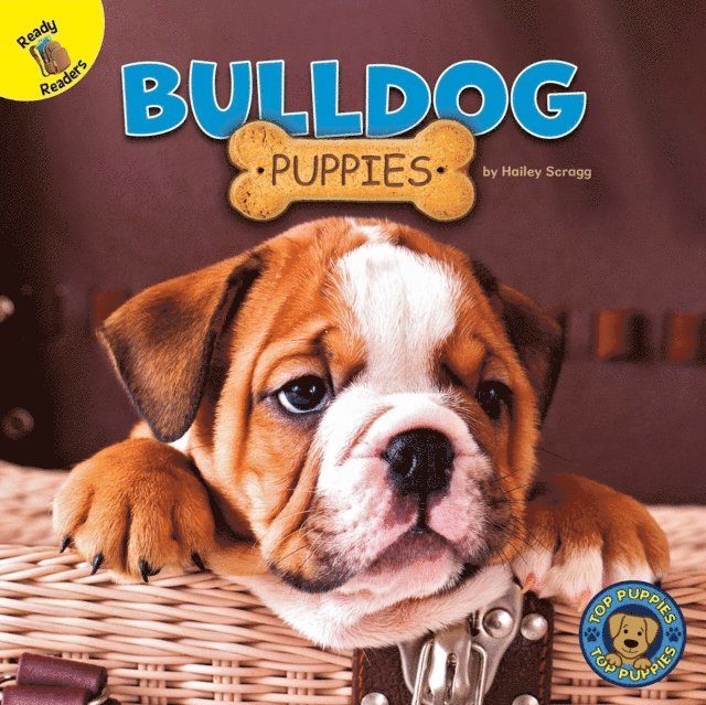 Hailey Scragg - Bulldog Puppies, E-bok