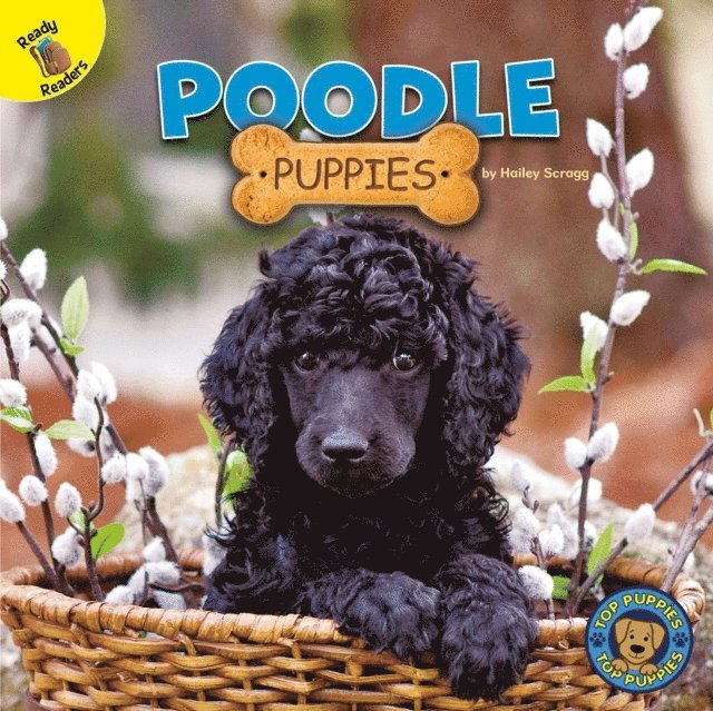 Hailey Scragg - Poodle Puppies, E-bok