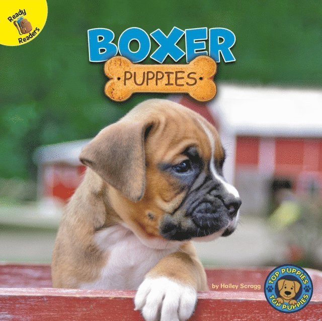 Hailey Scragg - Boxer Puppies, E-bok