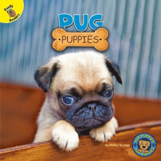 Hailey Scragg - Pug Puppies, E-bok