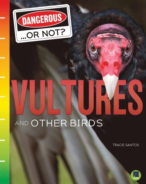 Tracie Santos - Vultures and Other Birds, E-bok