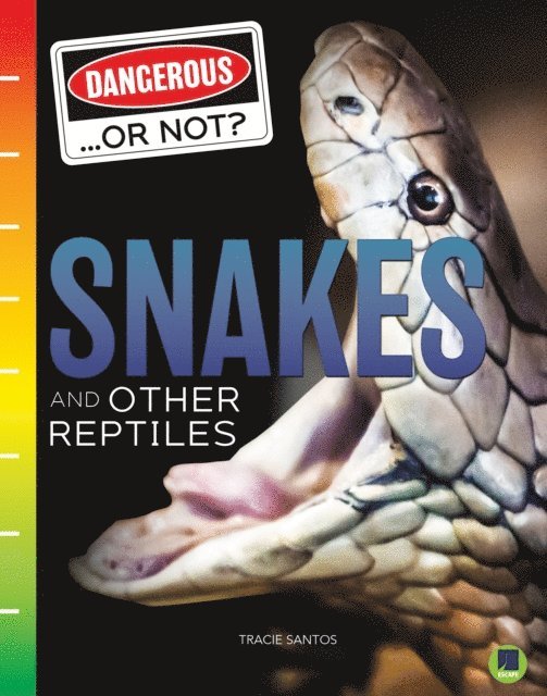 Tracie Santos - Snakes and Other Reptiles, E-bok