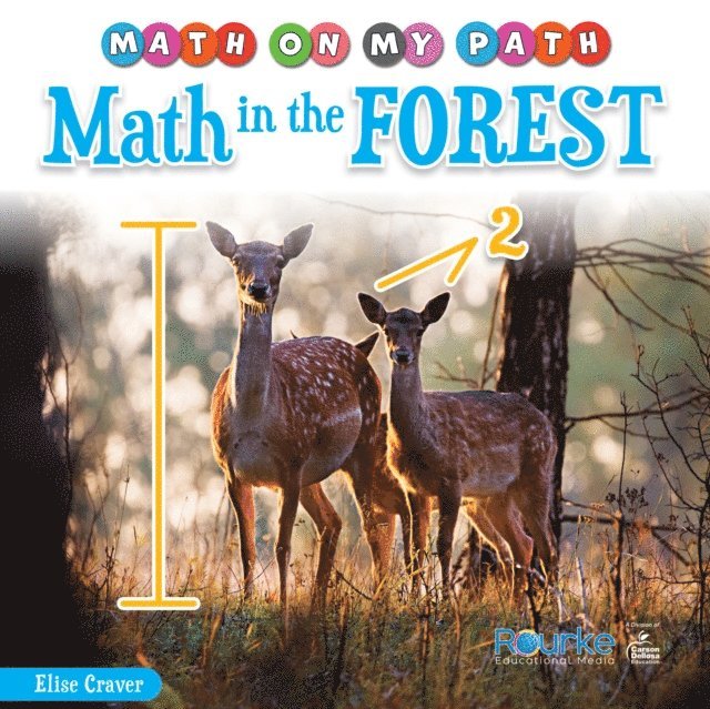 Elise Craver - Math in the Forest, E-bok