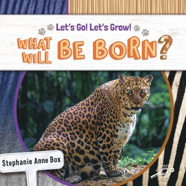 Stephanie Anne Box - What Will Be Born?, E-bok