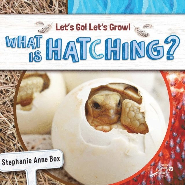Stephanie Anne Box - What Is Hatching?, E-bok