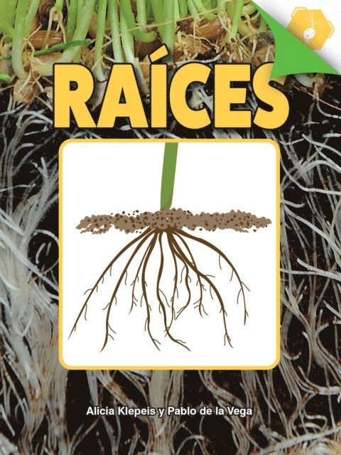 Alicia Klepeis - Raices, E-bok