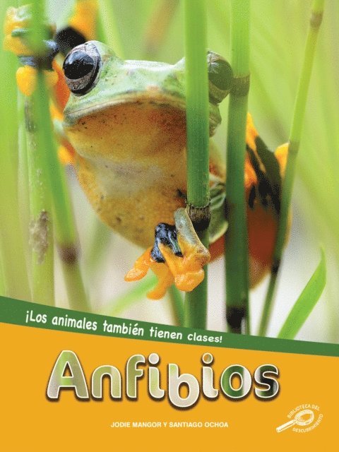Jodie Mangor - Anfibios, E-bok