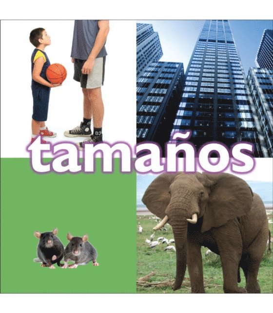 Tamanos