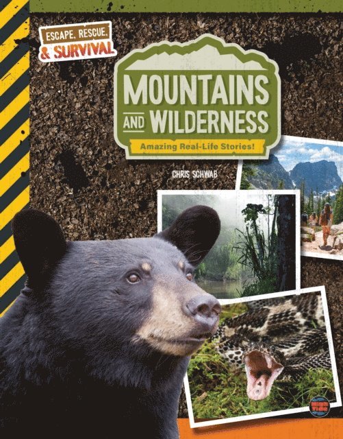Chris Schwab - Mountains and Wilderness, Grades 4 - 9, E-bok
