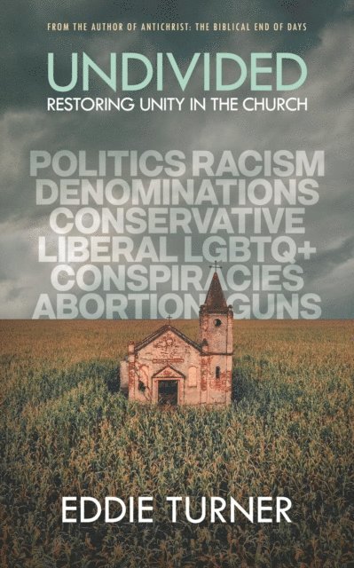 Eddie Turner - Undivided: Restoring Unity In The Church, E-bok